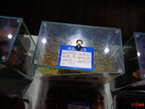 服務區高價鹿茸鹿鞭引爭議，高速公司表態嚴查整改